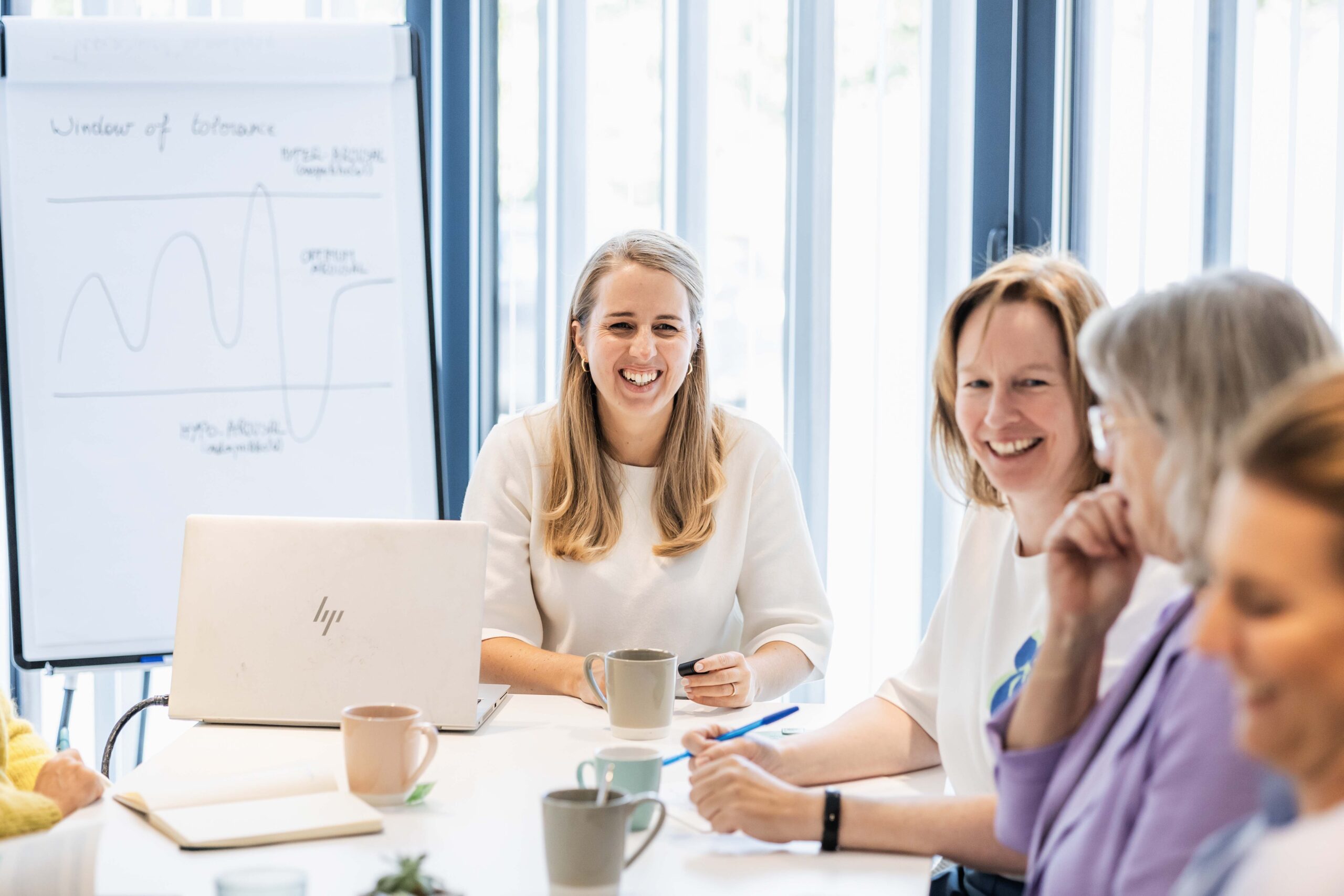DISC workshop with a team at attendo professional
